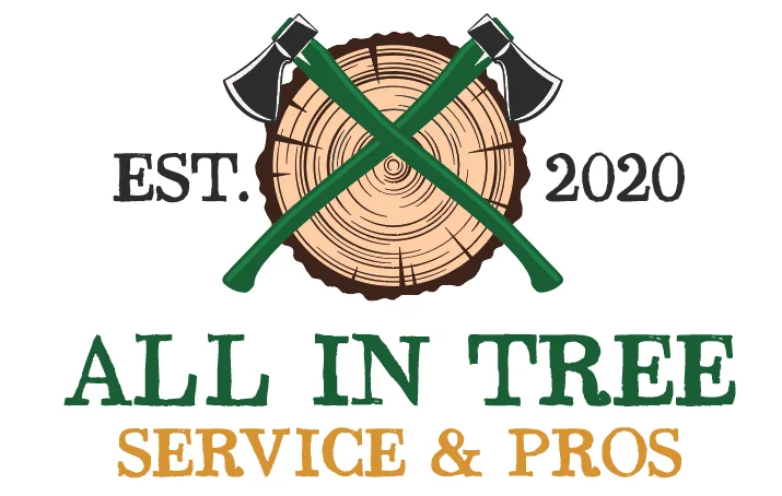 All In Tree Service of Fayetteville Explains Why Stump Grinding Is ...