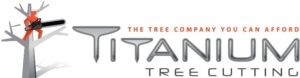 Titanium Tree Cutting Shares Expert Winter Tree Pruning and Care Advice for Michigan Homeowners